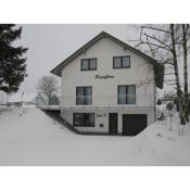 Chic Holiday Home in Medebach Germany near Ski Area