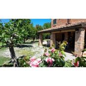 Come in agriturismo - Montepulciano - Vacation in Tuscany
