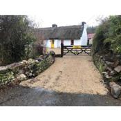 Delightful, romantic thatched cottage by river Shannon on 4.7 acres - Sweet Meadow is for peace, party, family or work from home