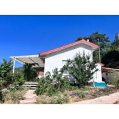Detached house surrounded by fruit trees, very close to Olympos and Çıralı