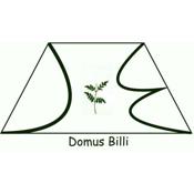 Domus Billi