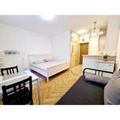 EAGLE HOUSE - A COSY FLAT IN THE CITY C.Orla 6/23