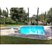 Elegant Villa Marlon with swimming pool
