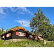 Elveseter - log cabin with an amazing view