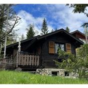 Entire cozy chalet in St-Cergue - 30 min from Geneva