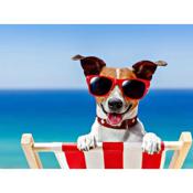 Fabulous 2 bedroom dog friendly chalet 5 min walk to beach, nr Gt Yarmouth & Norfolk Broads