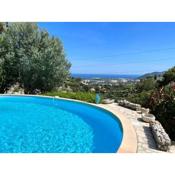 Fantastic villa in the bay of Cannes, 5 minutes from the beach