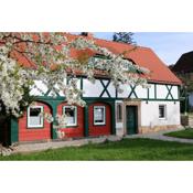 Ferienwohnung in Kurort Jonsdorf mit Terrasse, Grill und Garten
