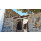 Flora's beach and pool villa in Syros