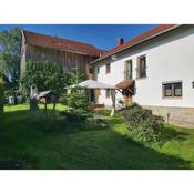 Gemütliche Ferienwohnung in Grünbach mit Terrasse, Grill und Garten