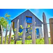 Hisa Vukan - Eco House in middle of vineyard with Sauna!