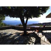 Holiday House- Afetes Pelion -Αφέτες Πηλίου