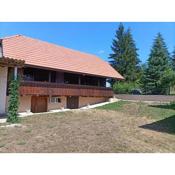 Holiday house with a parking space Mihalic Selo, Karlovac - 20284