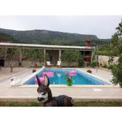 Holiday house with a swimming pool Bol, Brac - 11016