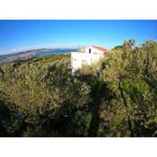 House among olive trees with a sea view 3