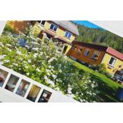 Impeccable 4-Bed House in Drangedal