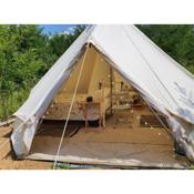 Koppány Pines - Wild Bell Tents