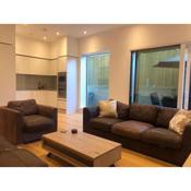 Large Modern One Bedroom Apartment (nearly 800 ft)