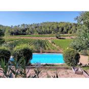 Le Figuier, suite en plein vignoble provençal