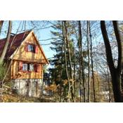 Lili's Lovely Log Home in the Forest
