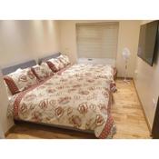 London Luxury Apartments 1min walk from Underground, with FREE PARKING FREE WIFI