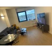 Lovely bright, modern 1-bed apartment