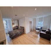 lovely entire studio apartment in Ilford
