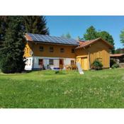 Lovely Holiday Home in Viechtach near the Forest