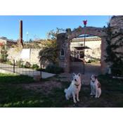 Mas Del Llop Blanc - Dog friendly Hostal Rural - B&B