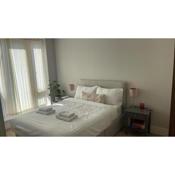 Modern en-suite room on the Sea front, the Apartment is in an affluent town of Dublin