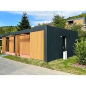 Modern holiday home with hot tub, on a holiday park 100 m from the slopes