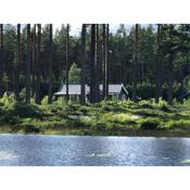 Modern lakeside cottage & boat near Isaberg