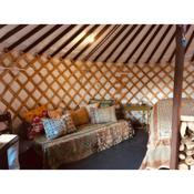 Mongolian yurt sleeping 2+2 with outdoor space