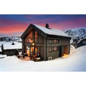 New lovely cabin in Rauland, ski inout, fast wifi