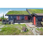 Nice Home In Nissedal With Jacuzzi And 4 Bedrooms