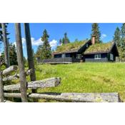 Nice Home In Sjusjen With Wifi And 3 Bedrooms
