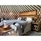 O Dan Y Coed Luxury Yurt with Hot Tub