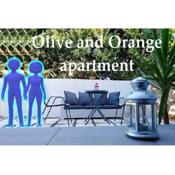 Olive and Orange Apartment