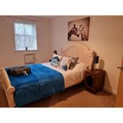 Patton Place, Warrington, 1 Bedroom, Safari Themed, High Speed WiFi, Smart TV, Amazing Train Links, Secure Location, Hotel Vibe in a Home
