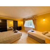 Private room in spacious bungalow retreat!