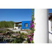 Ravissante maison bleue - Villa Azzura B&B
