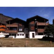 Residence Suisse RS1