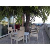 Room in BB - Quadruple room in Pineto - A stones throw from the sea