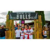Running of the Bulls All inclusive Camping