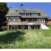 Schwarzwald Landhaus Leonore mit Alpenblick, Erdgeschosswohnung mit großer Gartenterrasse und Parkplatz