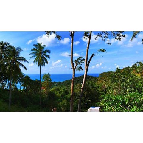 Sea View - Palm Villa
