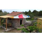 Secluded holiday house Pasman - 15649