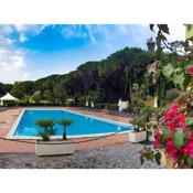 Small villa in Sardinia with swimming pool and sea within walking distance