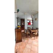 ☆ Smart and relax flat ☆ TIZIANA' S HOLIDAY HOUSE - HOMY 5 TERRE