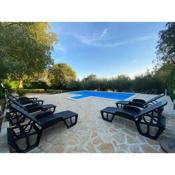 Stone Holiday Homes Stankovci with pool and Mediterranean gardens